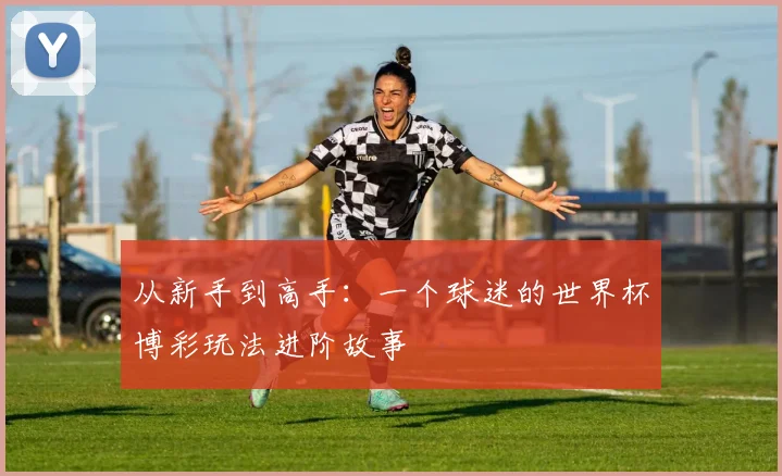 从新手到高手:一个球迷的世界杯博彩玩法进阶故事