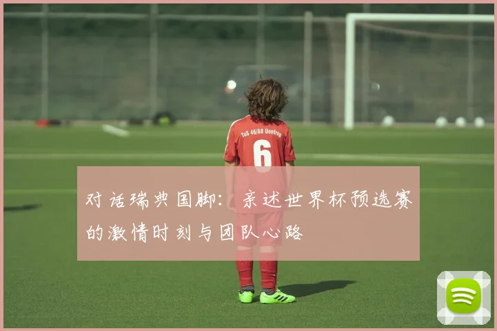 对话瑞典国脚：亲述世界杯预选赛的激情时刻与团队心路