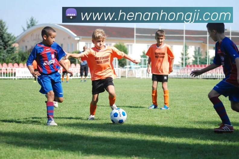 华体在线登录官网平台生态图